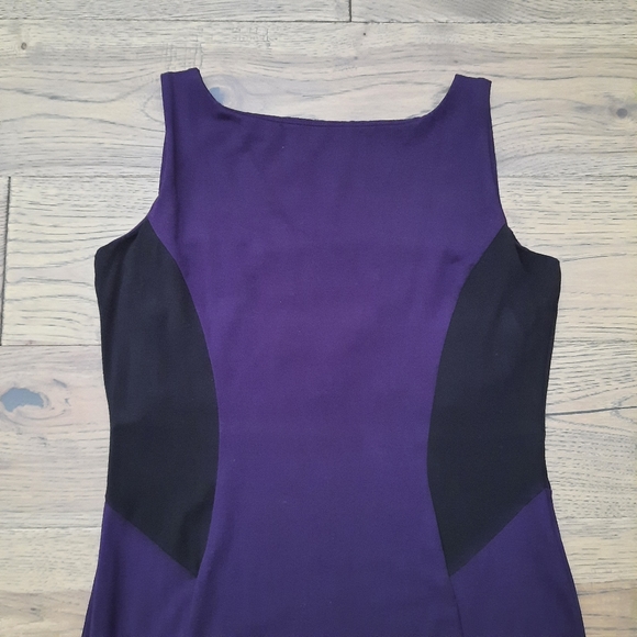 Miik Sleeveless Fitted Dress - Picture 13 of 16